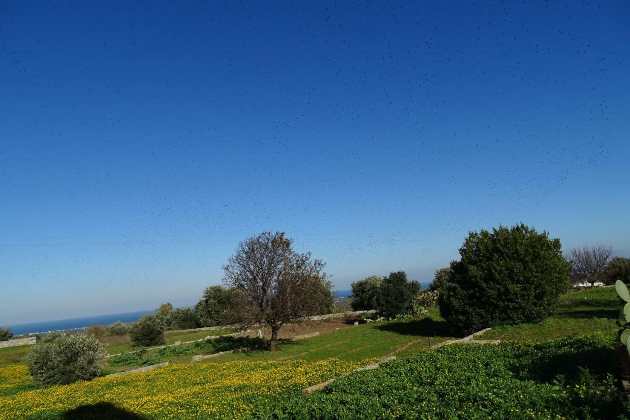 Il Fico D'India Dell'Antico Orto Villa Ostuni Eksteriør bilde