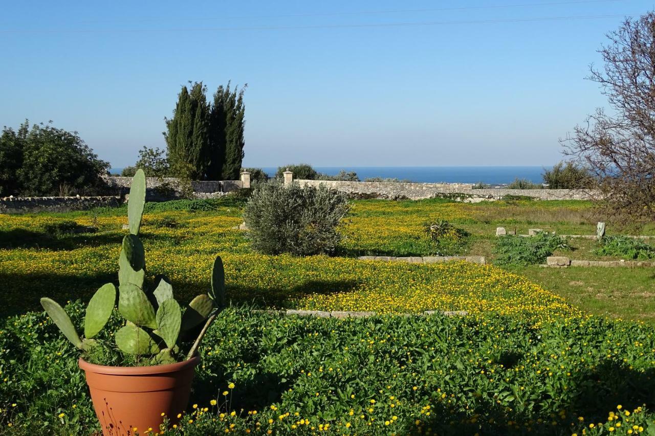 Il Fico D'India Dell'Antico Orto Villa Ostuni Eksteriør bilde