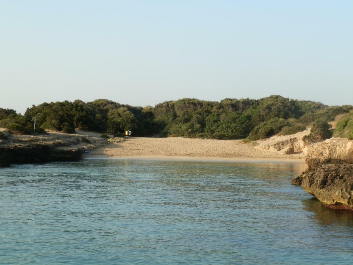 Il Fico D'India Dell'Antico Orto Villa Ostuni Eksteriør bilde