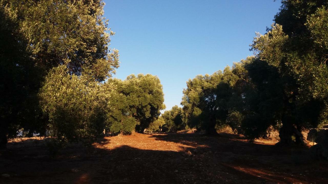 Il Fico D'India Dell'Antico Orto Villa Ostuni Eksteriør bilde