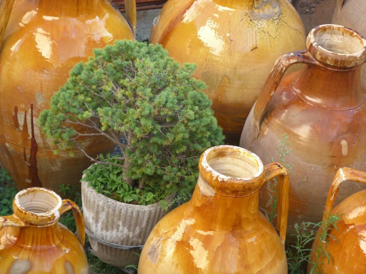 Il Fico D'India Dell'Antico Orto Villa Ostuni Eksteriør bilde