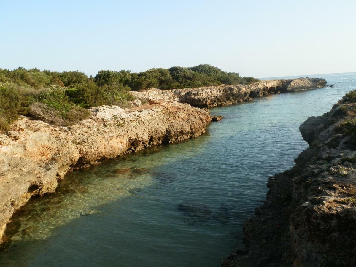 Il Fico D'India Dell'Antico Orto Villa Ostuni Eksteriør bilde